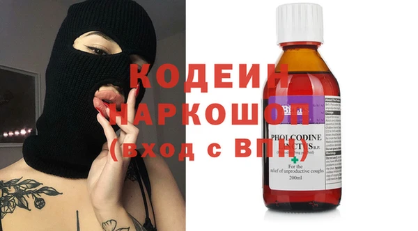 хмурый Алзамай