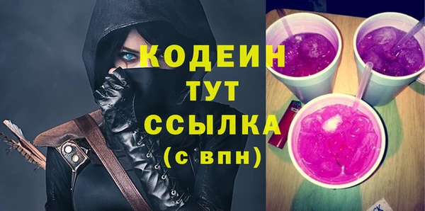 хмурый Алзамай